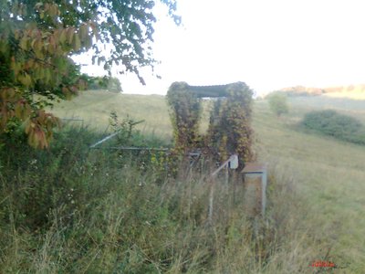 Obraz0011.jpg