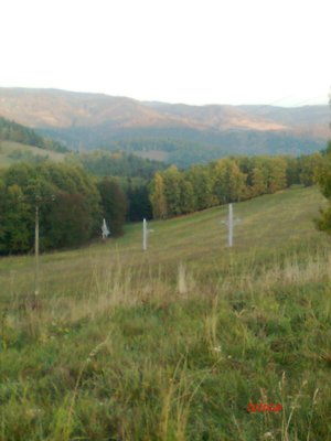 08.jpg