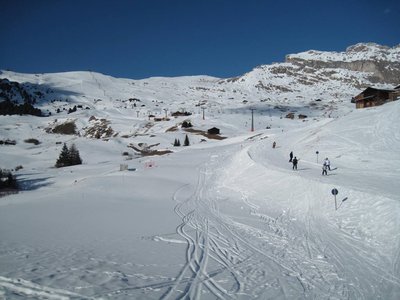 IMG_2713.jpg