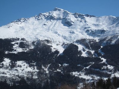 sainte foy.jpg