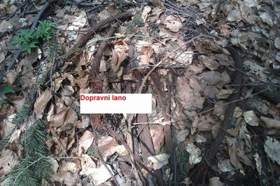IMAG0086.jpg