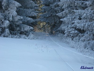 IMG_5009.JPG