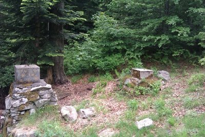 IMAG0106.jpg