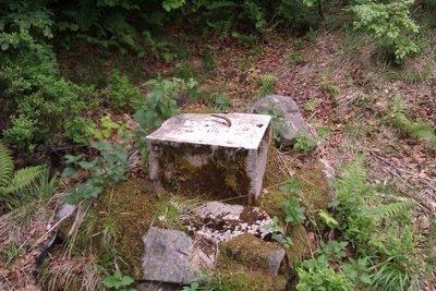 IMAG0108.jpg