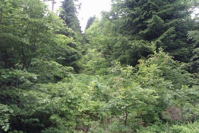 IMAG0109.jpg
