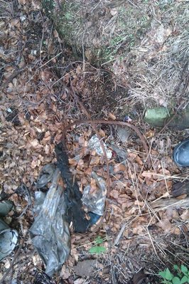 IMAG0110.jpg