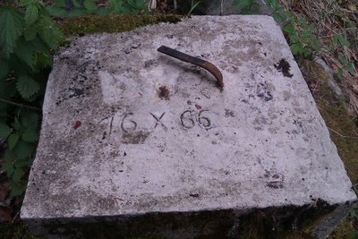 IMAG0113.jpg