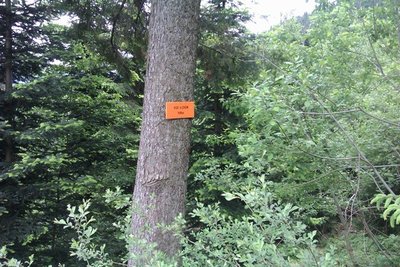IMAG0114.jpg