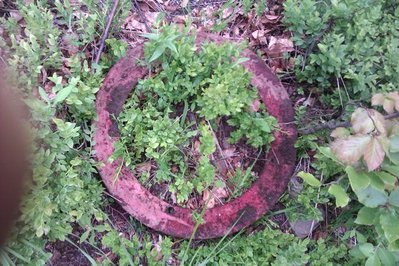 IMAG0115.jpg