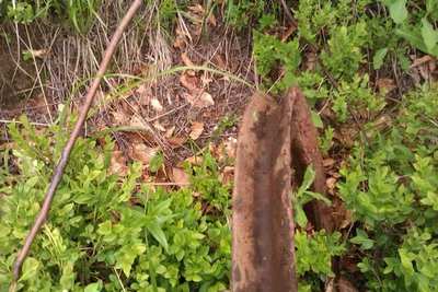 IMAG0116.jpg