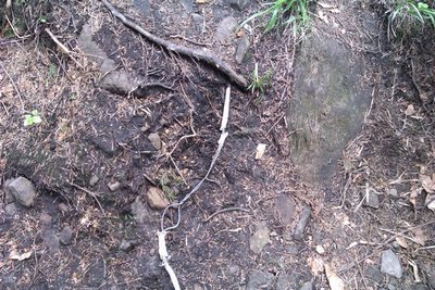 IMAG0120.jpg
