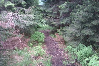 IMAG0121.jpg