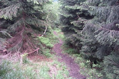 IMAG0124.jpg