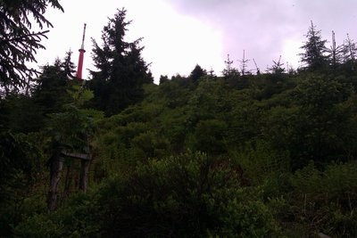 IMAG0131.jpg