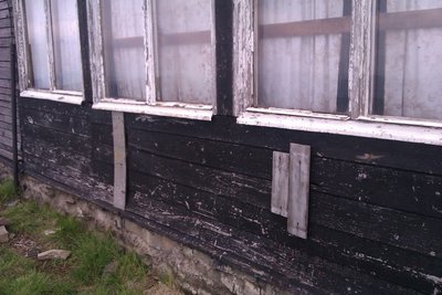 IMAG0133.jpg