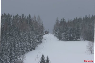 hádanka vlek.jpg