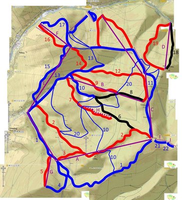 mravenecnik schema.jpg