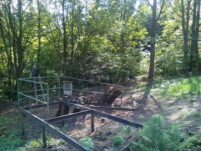 IMG_20170927_120312.jpg