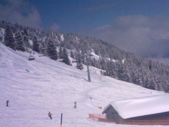 20100307232.jpg