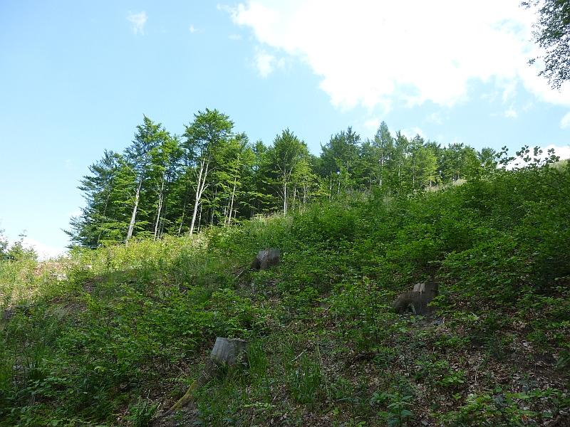 P1080473.JPG
