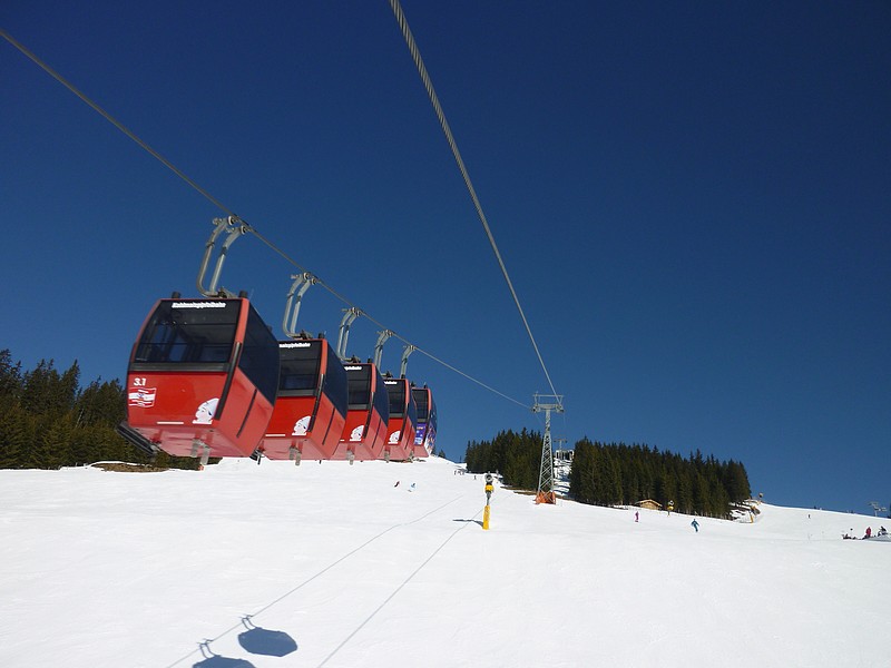 Obrázek